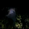 siham_1431