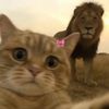 dina._.mohamed