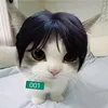 _.c0sm1c.st4r._