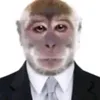 idominguess