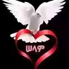 user7266977717877
