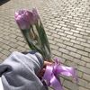 nazarlii_o2