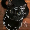 _gatito_fofo_