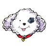 annaspetservices