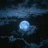 crazymoon_woman