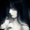 sssniferwolf5
