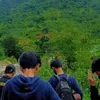 denssss_11