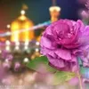 user6201205380061