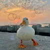 piano_sunset_duck_thing