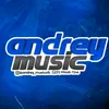 Andrey music