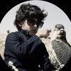 Mohsen