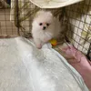 alex_05023