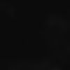 userelif220