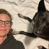 brandybeethehoboqueen