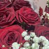 🍃🍃المتفائله 🍃🍃