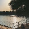 mirzaasma343