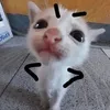 s3ntho