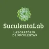 suculentalab