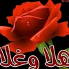 dy9k4qlob88r