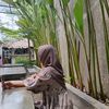laurasyifa000