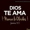 amor_1.3