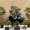 Zane’s Trees