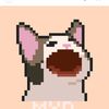 gato_loco74