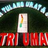 Master Kretek Medan Tri Umair