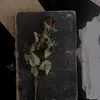 ngdepm5_00