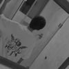 epm12597_34