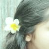dristyrahman528