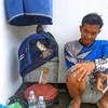 adisdhapeng