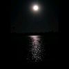 bahr_1444