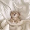 cyrieen_ys56