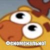 locachik