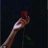 tiktok.comayuuua99