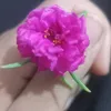 dyqbw86vxhvw