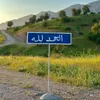 am___a12334