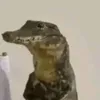 grandmasaidimhandsome_