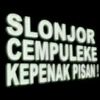 sijon242
