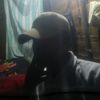 freeplastinekalsel277
