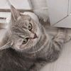 hatice_isot34