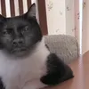 caboolba_3000