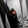 bxby.stefany0