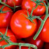 senioropomidorotomato