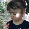 bno_213