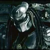 avp2_2007