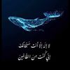 deem501i