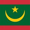 dyomootwansw