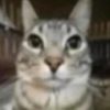 emilio_iib21